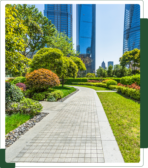 Group 1 (1) Paved walkway through a park with green trees and bushes, leading towards tall modern skyscrapers under a clear blue sky.