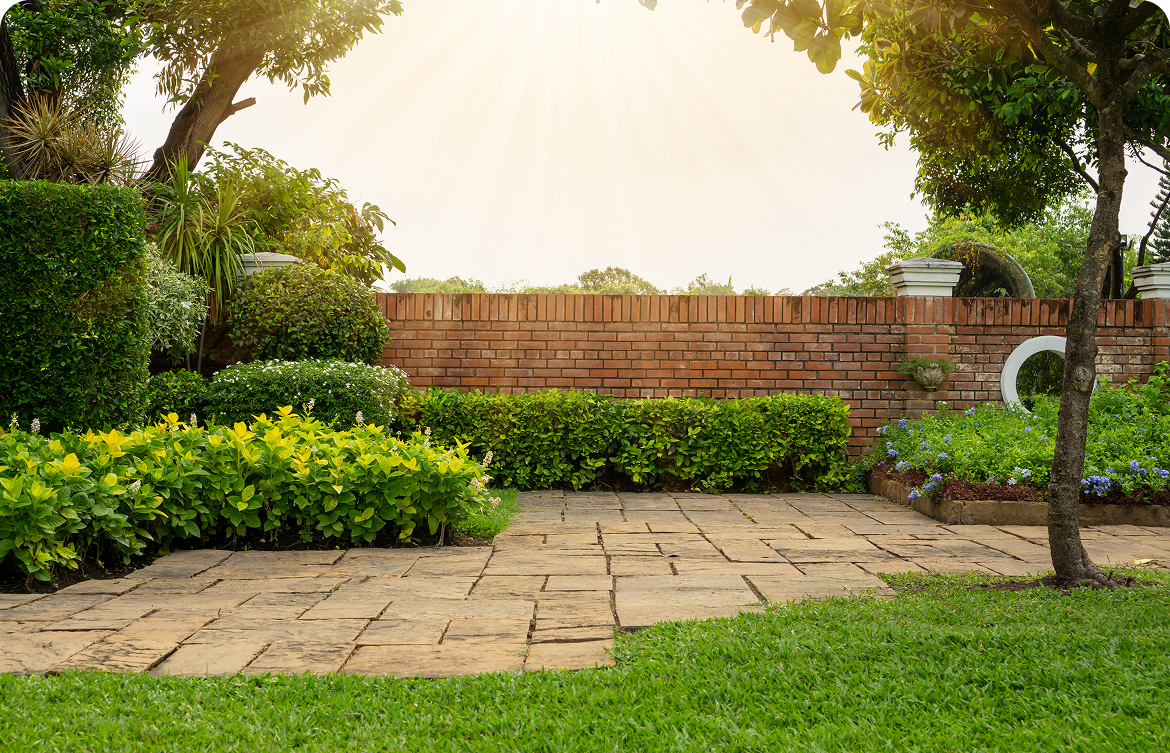 Rectangle 1116 Sunlit garden with a brick wall, lush greenery, and a stone pathway. Trees and shrubs line the path, with a neat lawn in the foreground.