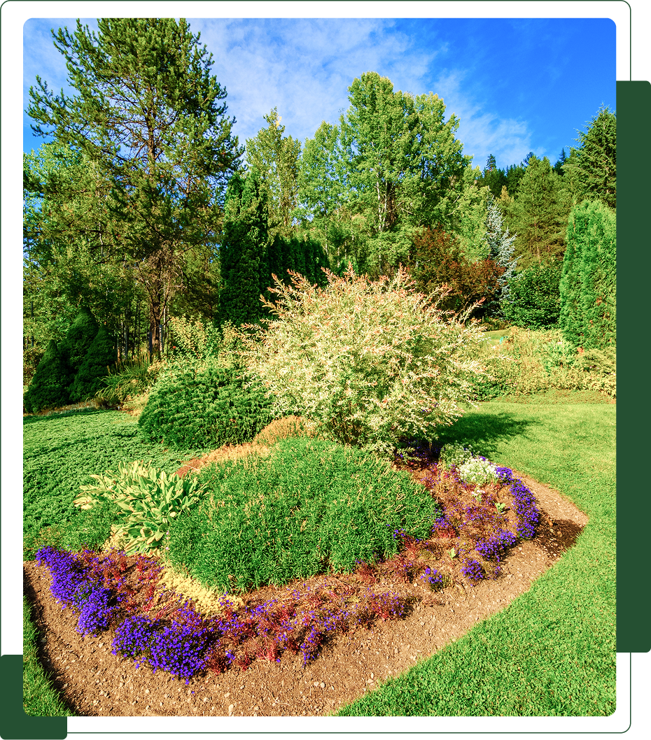 img 4 A landscaped garden with colorful flowers, shrubs, and a variety of trees under a clear blue sky. A circular flower bed features purple and green plants.